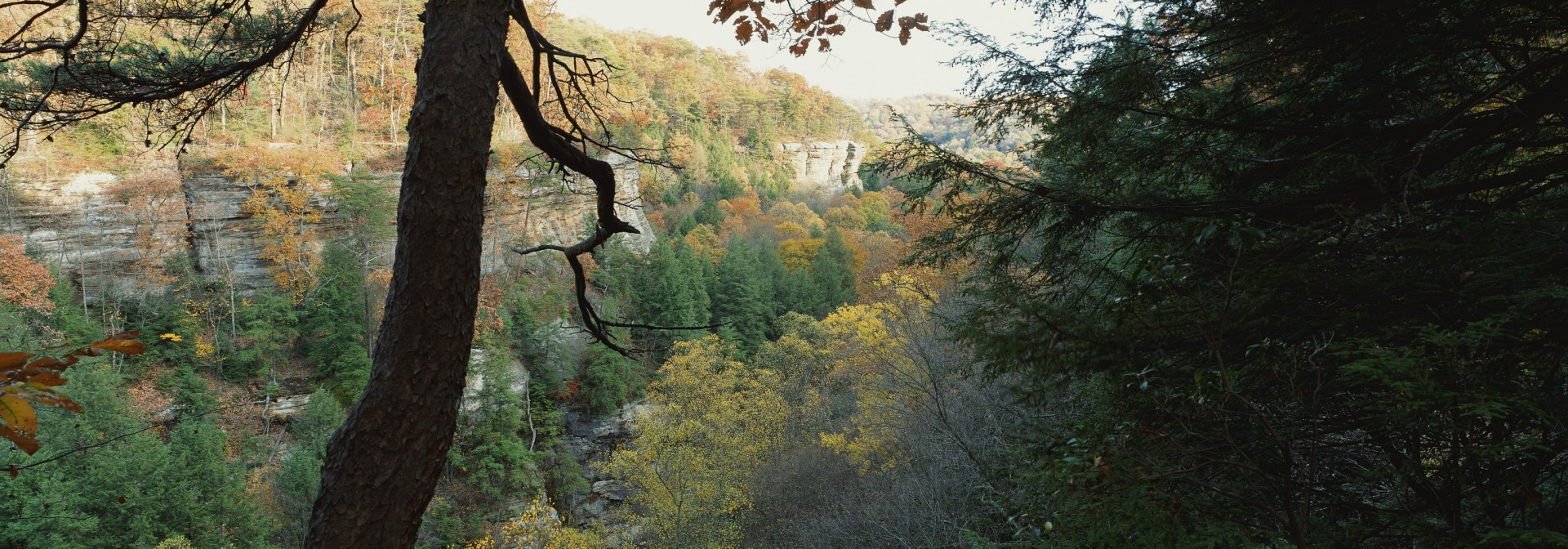 Unsplashed background img 3