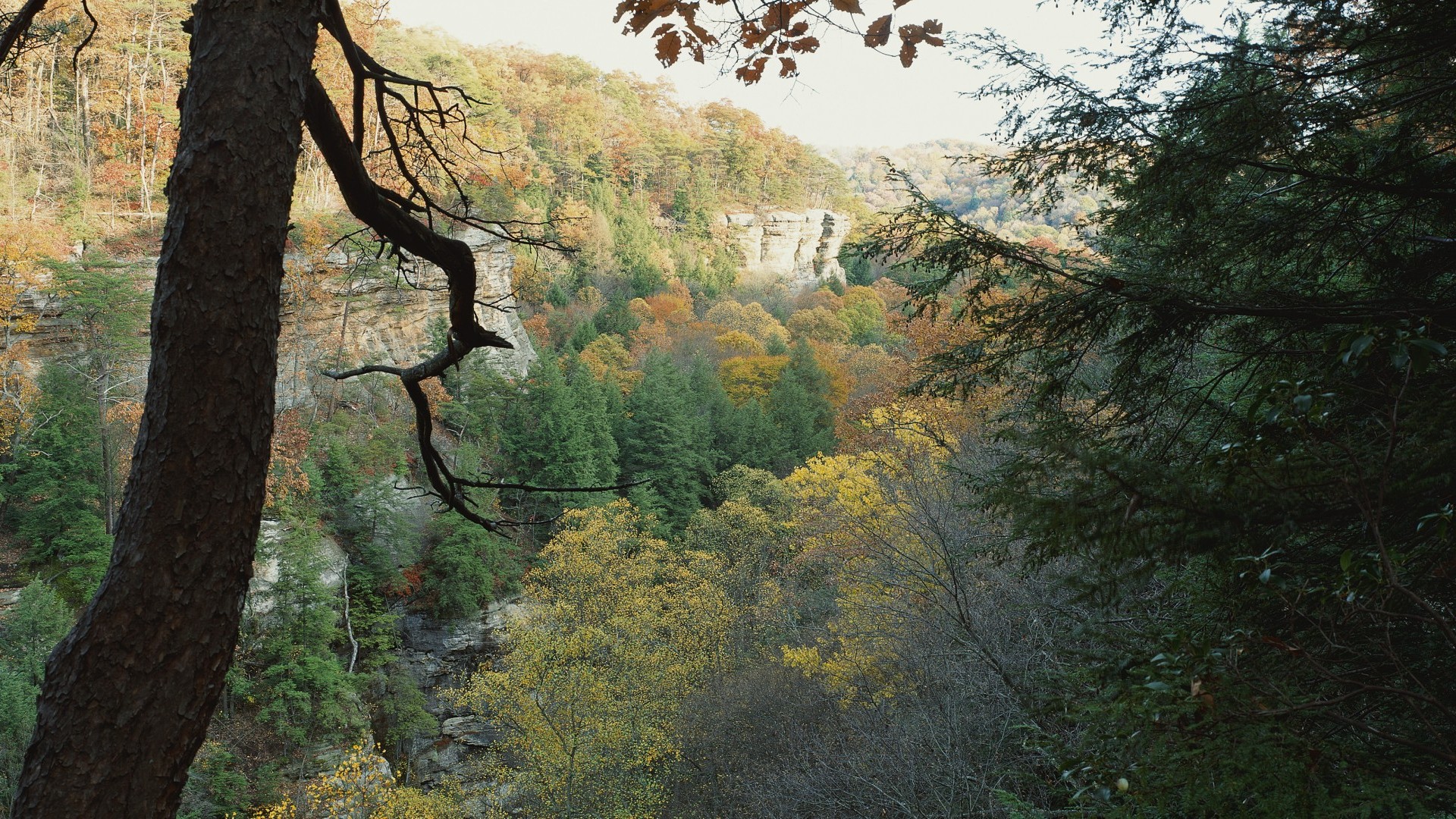 Unsplashed background img 1